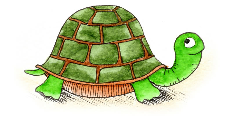schildpad