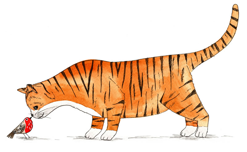 tijger