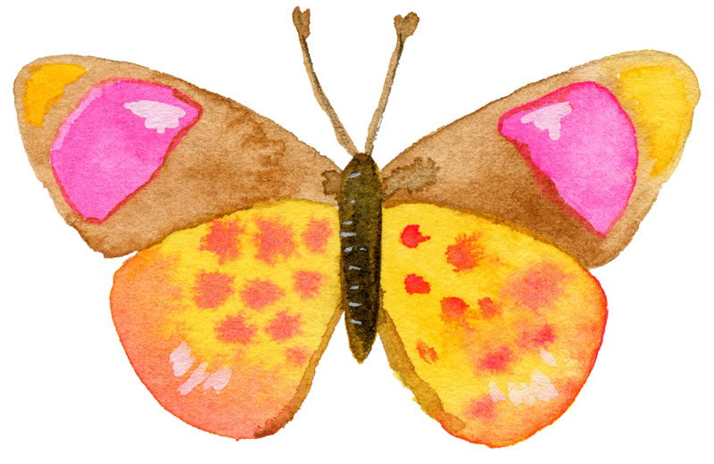 vlinder1