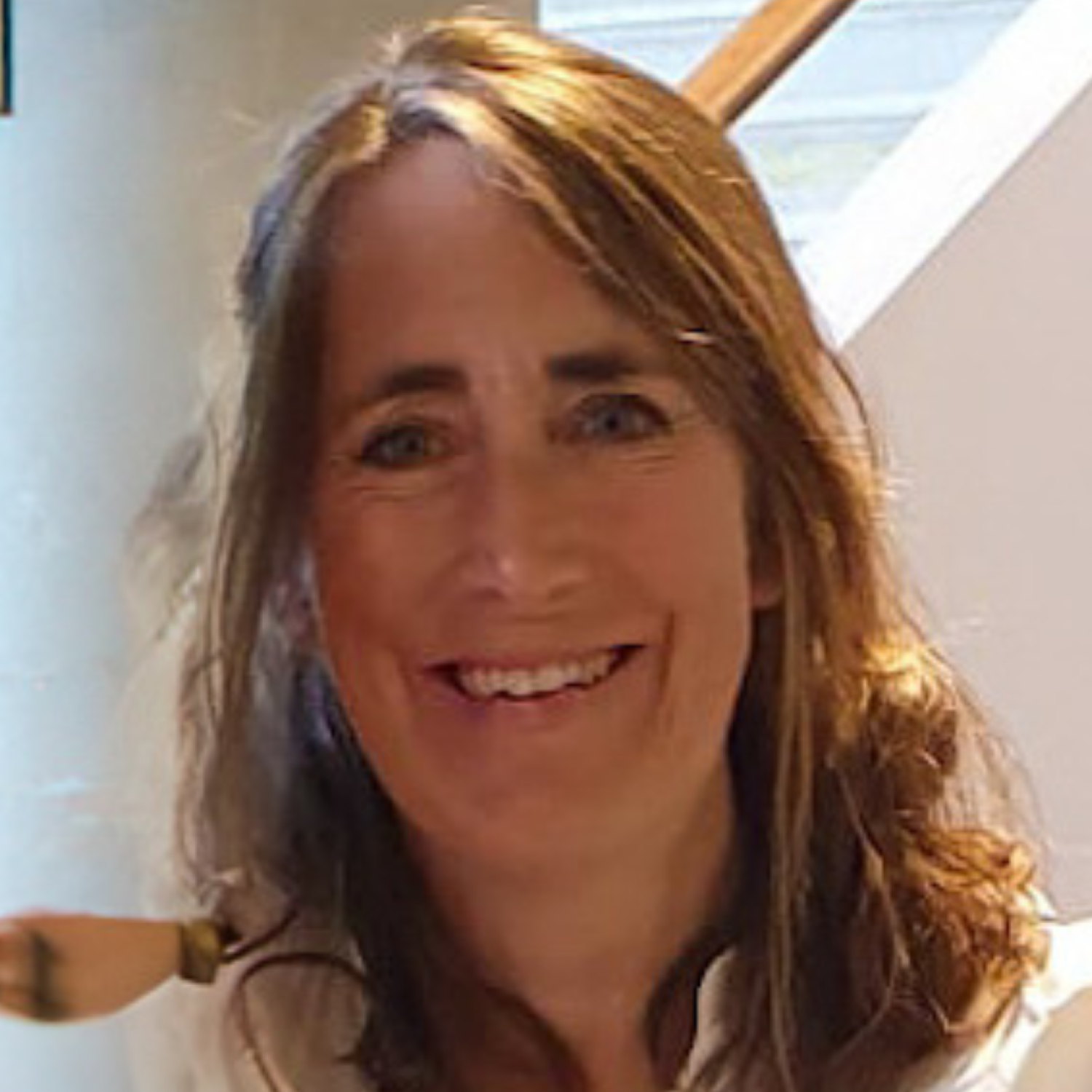 Karin Geleijns